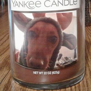 Meet your Posher, Judy